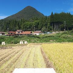 令和5年産 広島県龍頭山麓 ひとめぼれ 玄米30kg