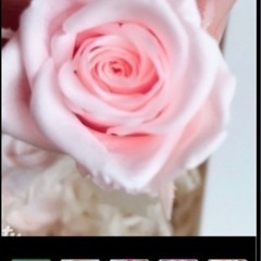 プリザーブドフラワー紫陽花とバラ