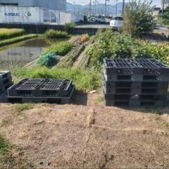 【無料】プラスチックパレット　プラパレ　11枚ほど