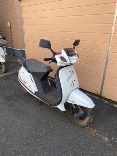 リードSS 現状　不動