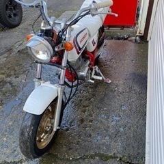 エイプ50の画像