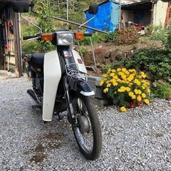 商談中！10/9迄の期間限定 スズキ バーディー80 セル付き 極低走行 付属スパイクタイヤ付きの画像