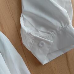 新品。２枚でさらにお値下げ。ステキなお尻丈のブラウスです。の画像