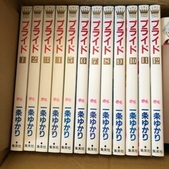 一条ゆかりプライド　　美品