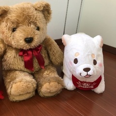 ぬいぐるみの画像