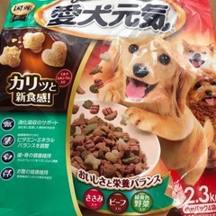 未開封 成犬用ドックフードの画像