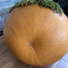 瓢箪　ひょうたん　座布団　喜寿　名前入り　中古　大型　しめ縄　天然の画像