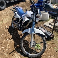 MTX50R 希少　6速　