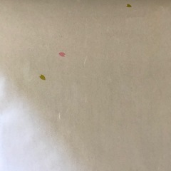 花びら柄の障子紙と可愛い柄のふすま紙の画像