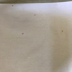花びら柄の障子紙と可愛い柄のふすま紙の画像