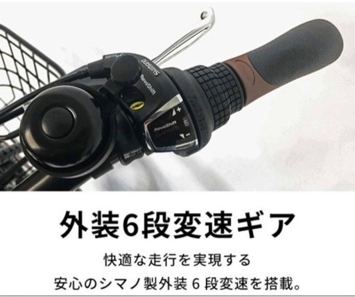 PELTECH(ペルテック) 折り畳み電動アシスト自転車 (TDN-206)