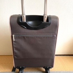 atsuki onishi キャリーバッグの画像