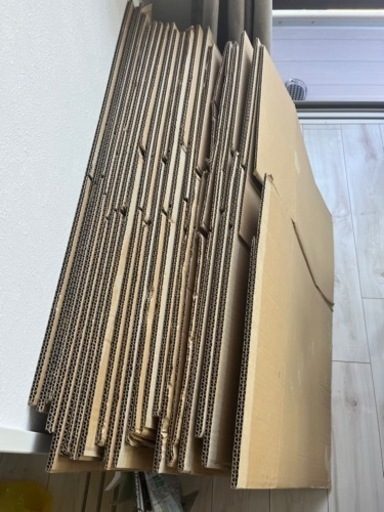 ダンボール　無地