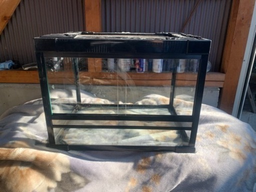 爬虫類　飼育　ゲージ