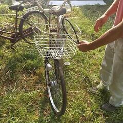 自転車２６インチ　２台　　差し上げますの画像