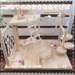 決定　バードジムの画像
