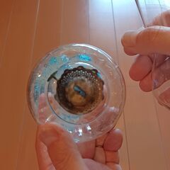 アンティーク　和ガラス　骨董　骨董品　古美術　ランプ　オイルランプの画像