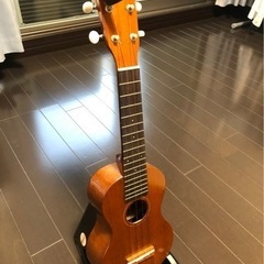 Famous ウクレレ FS-12G