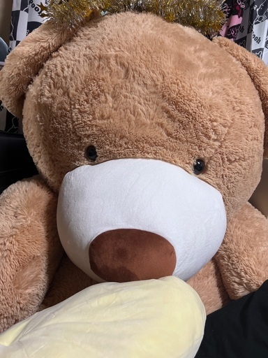 はじめしゃちょー愛用のくまちゃん