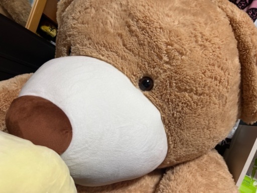 はじめしゃちょー愛用のくまちゃん