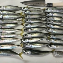 釣り仲間募集！女性の方や初心者の方も歓迎します。 − 宮城県
