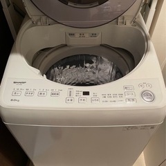 SHARP 洗濯機 8kg