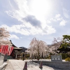 お寺deヨガ★八王子市★高尾駅