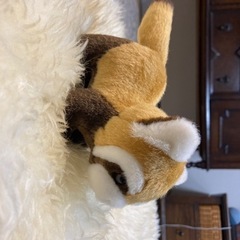 【未使用】レッサーパンダのお人形