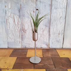 【観葉植物】エアプランツ　アイアンホルダー