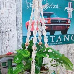 【観葉植物】混合　プランツハンガー