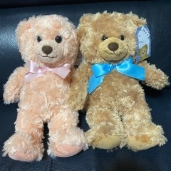 新品　ハニーテディベア・ボーイ＆ガール