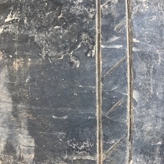 Work スターシャーク似　2本の画像