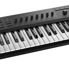 NATIVE INSTRUMENTS ネイティブインストゥルメン...