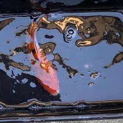 錦鯉