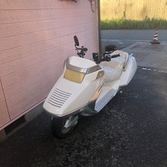 ホンダ　フュージョン250  早いもの勝ち！値引き可！