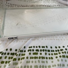 GEX   水槽