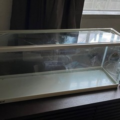 ガラスの水槽　ロカボーイS