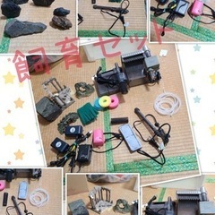生体と60cm水槽セットの画像