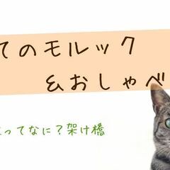 『初めてのモルック＆おしゃべり会』