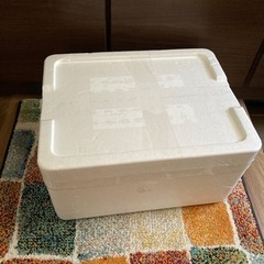 商談中 〜発泡スチロール箱 ×2個②