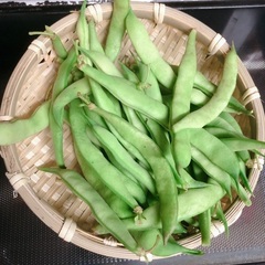 野菜　いんげん　200g位　無農薬　