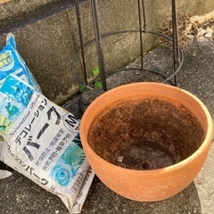 差し上げます。花壇用品の画像