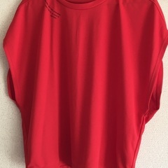 ヨガやダンスのウェア（ダンスキン／DANSKIN、ゴールドウィン）