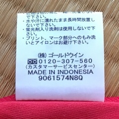 ヨガやダンスのウェア（ダンスキン／DANSKIN、ゴールドウィン）の画像