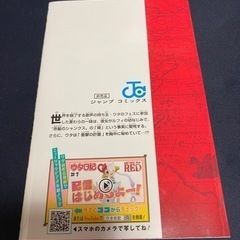 ワンピース フィルムRED来場者限定【巻四十億】の画像