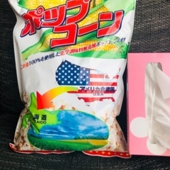 【大袋】ポップコーン