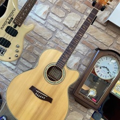 Ibanez AEL42SERLV1201 (エレアコ)