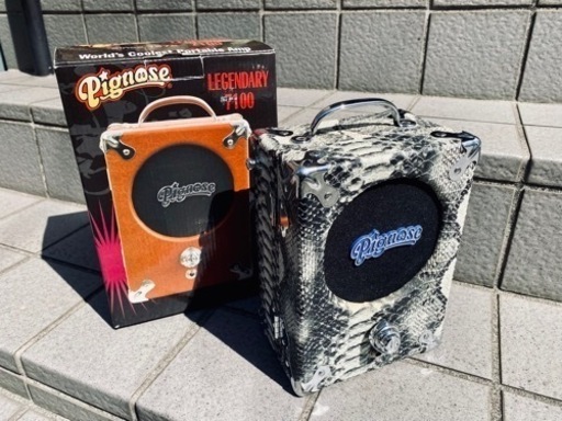 PIGNOSE 7-100R 【稀少 スネイクスキン！】