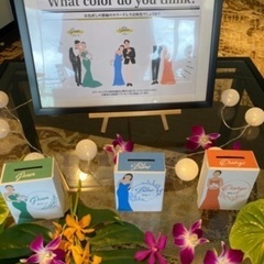 【値下げ】ドレス色当て(ウェルカムスペース)の画像