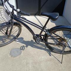 自転車　小学生　男児　黒